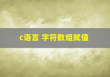 c语言 字符数组赋值